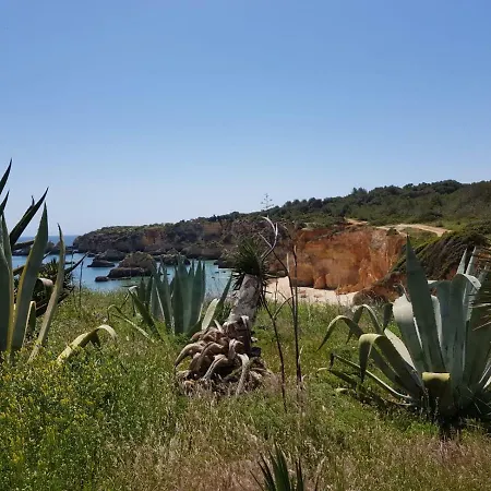 Διαμέρισμα Magnifique Vue Mer Praia Do Vau
