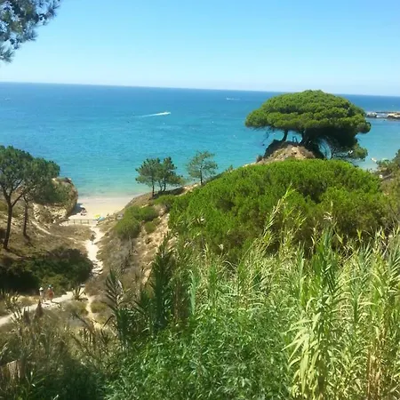 Magnifique Vue Mer Praia Do Vau Διαμέρισμα